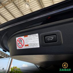 
										2019 TOYOTA ALPHARD SC full									