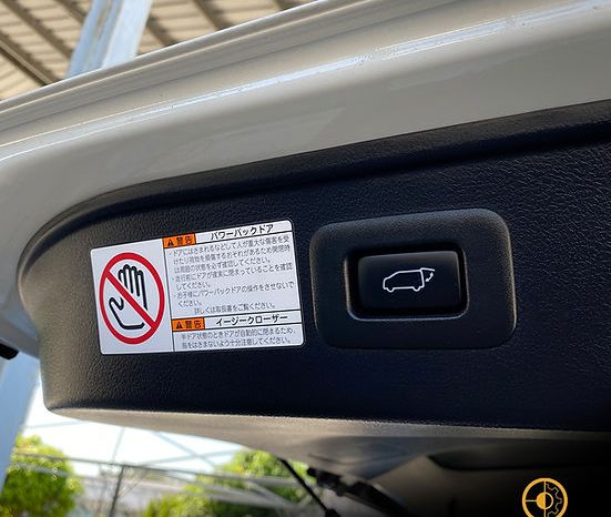 
								2019 TOYOTA ALPHARD SC full									
