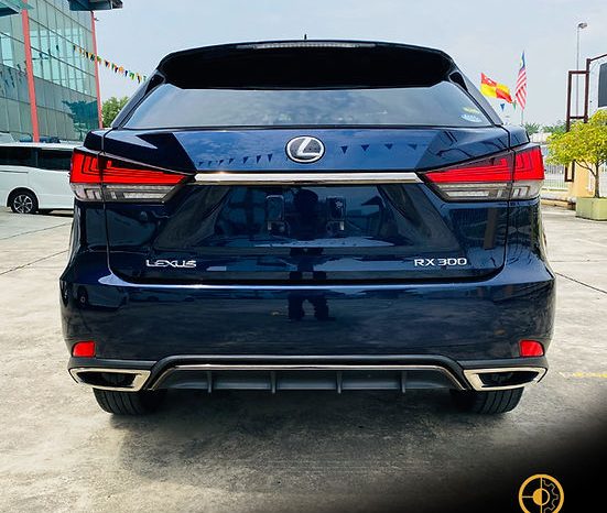 
								2020 LEXUS RX300 F SPORT full									