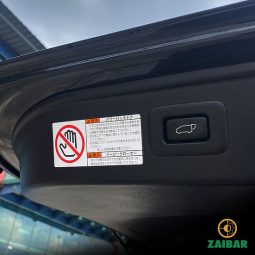 
										2021 TOYOTA ALPHARD SC full									