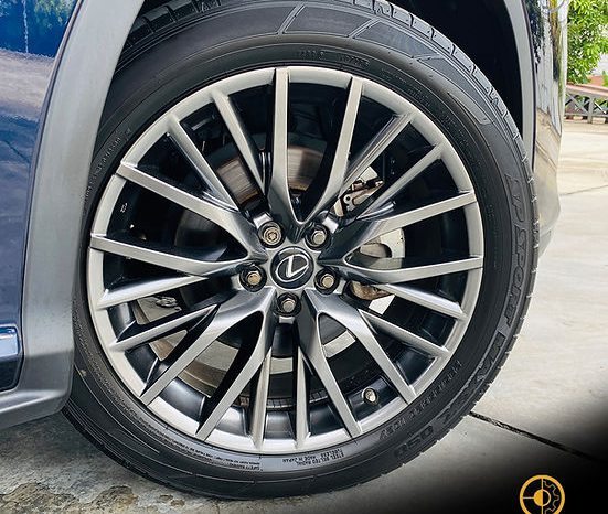 
								2020 LEXUS RX300 F SPORT full									
