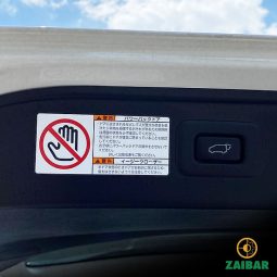 
										2020 TOYOTA ALPHARD SC full									