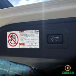 
										2021 TOYOTA ALPHARD SC full									