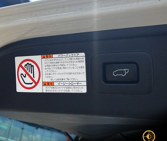 
								2021 TOYOTA ALPHARD SC full									