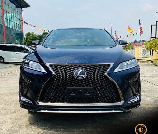 
								2020 LEXUS RX300 F SPORT full									