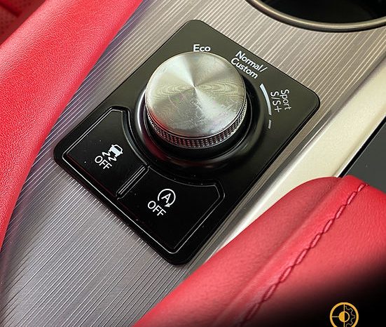 
								2020 LEXUS RX300 F SPORT full									
