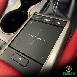 
										2020 LEXUS RX300 F SPORT full									