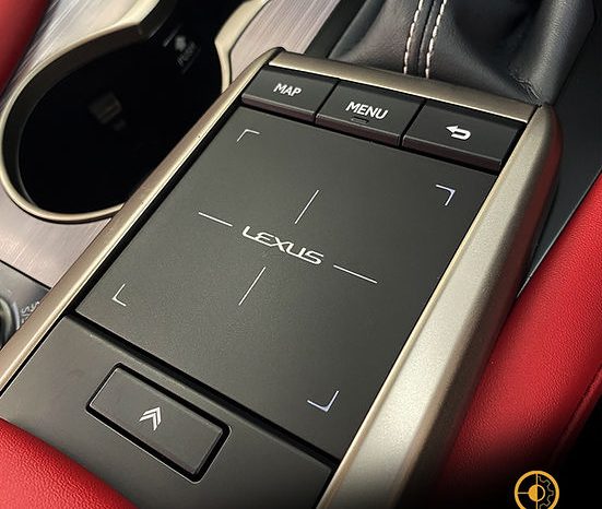 
								2020 LEXUS RX300 F SPORT full									