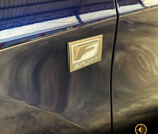 
								2020 LEXUS RX300 F SPORT full									