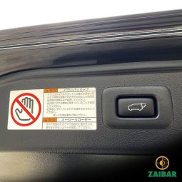 
										2021 TOYOTA ALPHARD SC full									