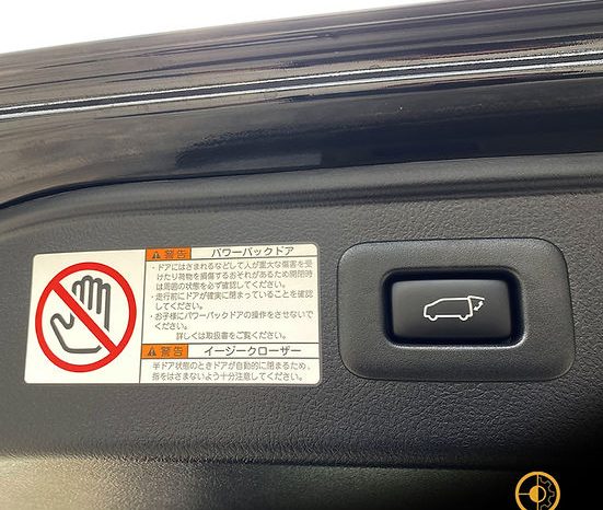 
								2021 TOYOTA ALPHARD SC full									