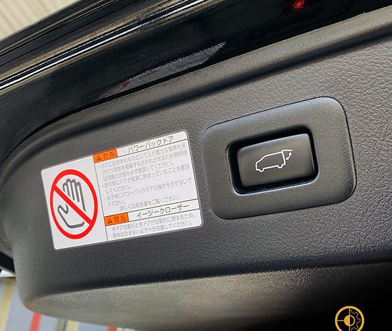 
								2019 TOYOTA ALPHARD SC full									