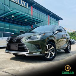 2020 LEXUS NX300 SPICE & CHIC