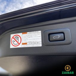 
										2020 TOYOTA ALPHARD SC full									