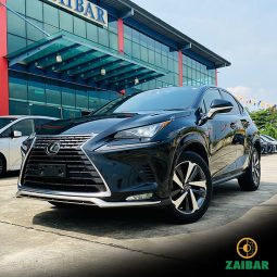 2020 LEXUS NX300 SPICE & CHIC