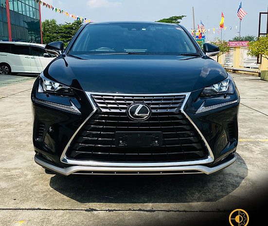 
								2020 LEXUS NX300 SPICE & CHIC full									